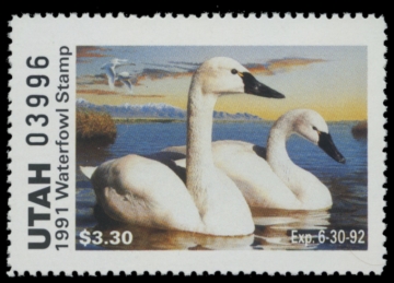 Picture of 1991 Utah Duck Stamp