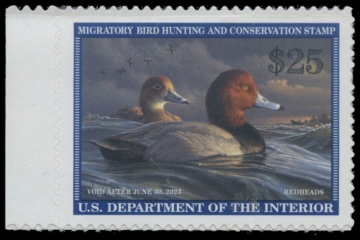 Picture of RW89 2022 Duck Stamp
