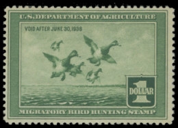 Picture of RW4 1937 Duck Stamp. Unsigned