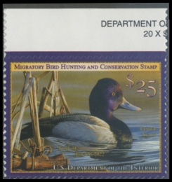 Picture of RW88 2021 Duck Stamp