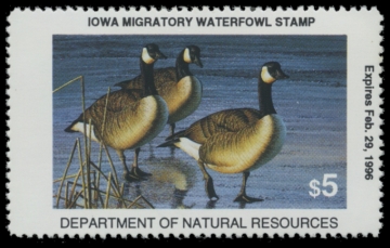 Picture of 1995 Iowa Duck Stamp