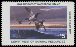 Picture of 1996 Iowa Duck Stamp