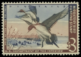 Picture of RW29 1962 Duck Stamp. MNH