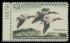 Picture of RW32 1965 Duck Stamp. MNH