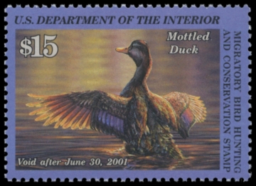 Picture of RW67 2000 Duck Stamp. MNH