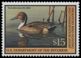 Picture of RW68 2001 Duck Stamp. MNH