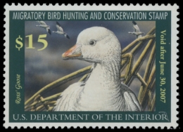 Picture of RW73 2006 Duck Stamp. MNH