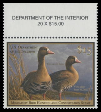 Picture of RW78 2011 Duck Stamp. MNH