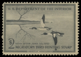 Picture of RW23 1956 Duck Stamp. Unsigned
