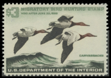 Picture of RW32 1965 Duck Stamp. MNH