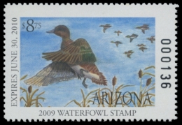 Picture of 2009 Arizona Junior Duck Stamp