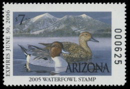 Picture of 2005 Arizona Duck Stamp