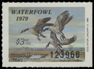 Picture of 1979 Missouri Duck Stamp - First of State