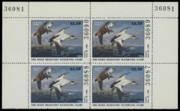 Picture of 1985 Maine Duck Stamp