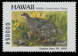 Picture of 2000 Hawaii Duck Stamp