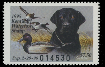 Picture of 1995 Kentucky Duck Stamp