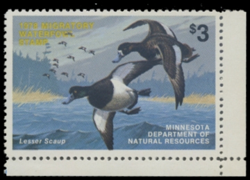 Picture of 1978 Minnesota Duck Stamp