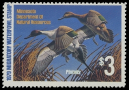 Picture of 1979 Minnesota Duck Stamp