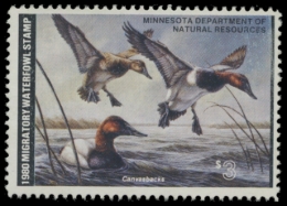 Picture of 1980 Minnesota Duck Stamp