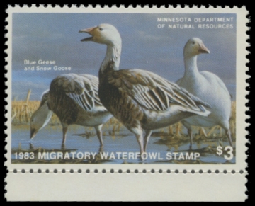 Picture of 1983 Minnesota Duck Stamp