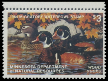 Picture of 1984 Minnesota Duck Stamp