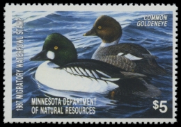 Picture of 1987 Minnesota Duck Stamp