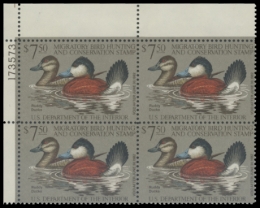 Picture of RW48 1981 Duck Stamp 