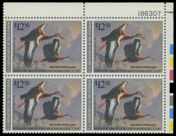 Picture of RW57 1990 Duck Stamp 