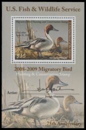 Picture of RW75B 2008 Duck Stamp