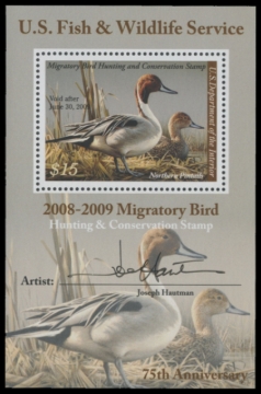 Picture of RW75B 2008 Duck Stamp