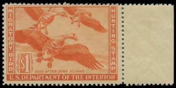 Picture of RW11 1944 MNH F-VF