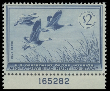 Picture of RW22 1955 MNH F-VF