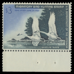 Picture of RW33 1966 Duck Stamp 