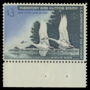 Picture of RW33 1966 Duck Stamp 