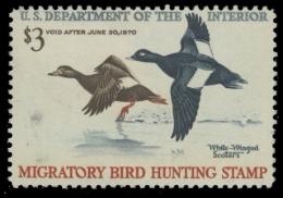 Picture of RW36 1969 Duck Stamp 