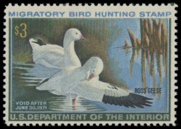 Picture of RW37 1970 Duck Stamp 