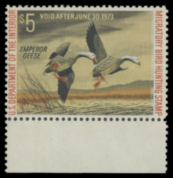 Picture of RW39 1972 Duck Stamp 