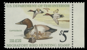 Picture of RW42 1975 Duck Stamp 