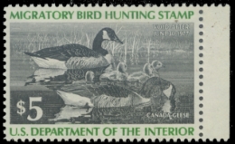 Picture of RW43 1976 Duck Stamp 
