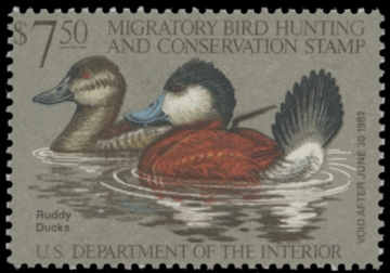 Picture of RW48 1981 Duck Stamp 