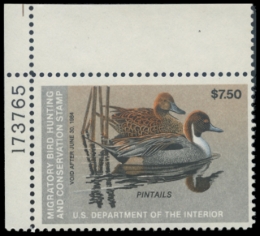 Picture of RW50 1983 Duck Stamp 
