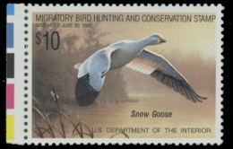 Picture of RW55 1988 Duck Stamp 