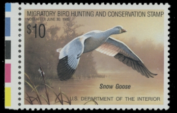 Picture of RW55 1988 Duck Stamp 