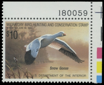 Picture of RW55 1988 Duck Stamp 