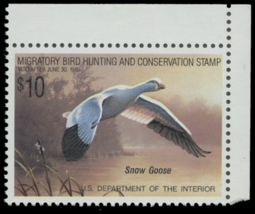 Picture of RW55 1988 Duck Stamp 