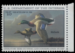 Picture of RW62 1995 Duck Stamp