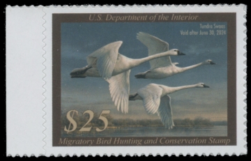 Picture of RW90 2023 Duck Stamp 