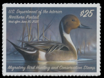 Picture of RW91 2024 Duck Stamp