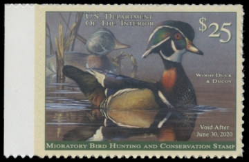 Picture of RW86 2019 Duck Stamp 