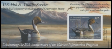 Picture of RW91A 2024 Duck Stamp 